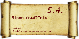 Sipos Antónia névjegykártya